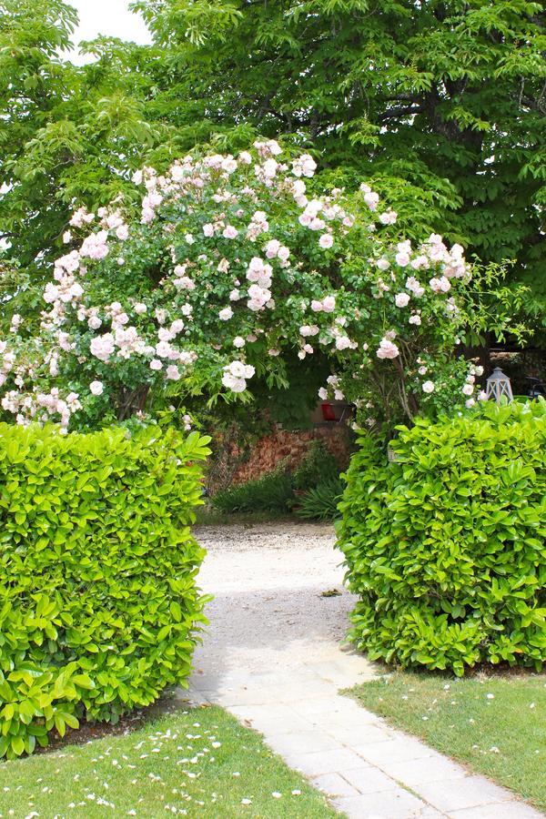 B&B La Badelle Gordes Eksteriør billede