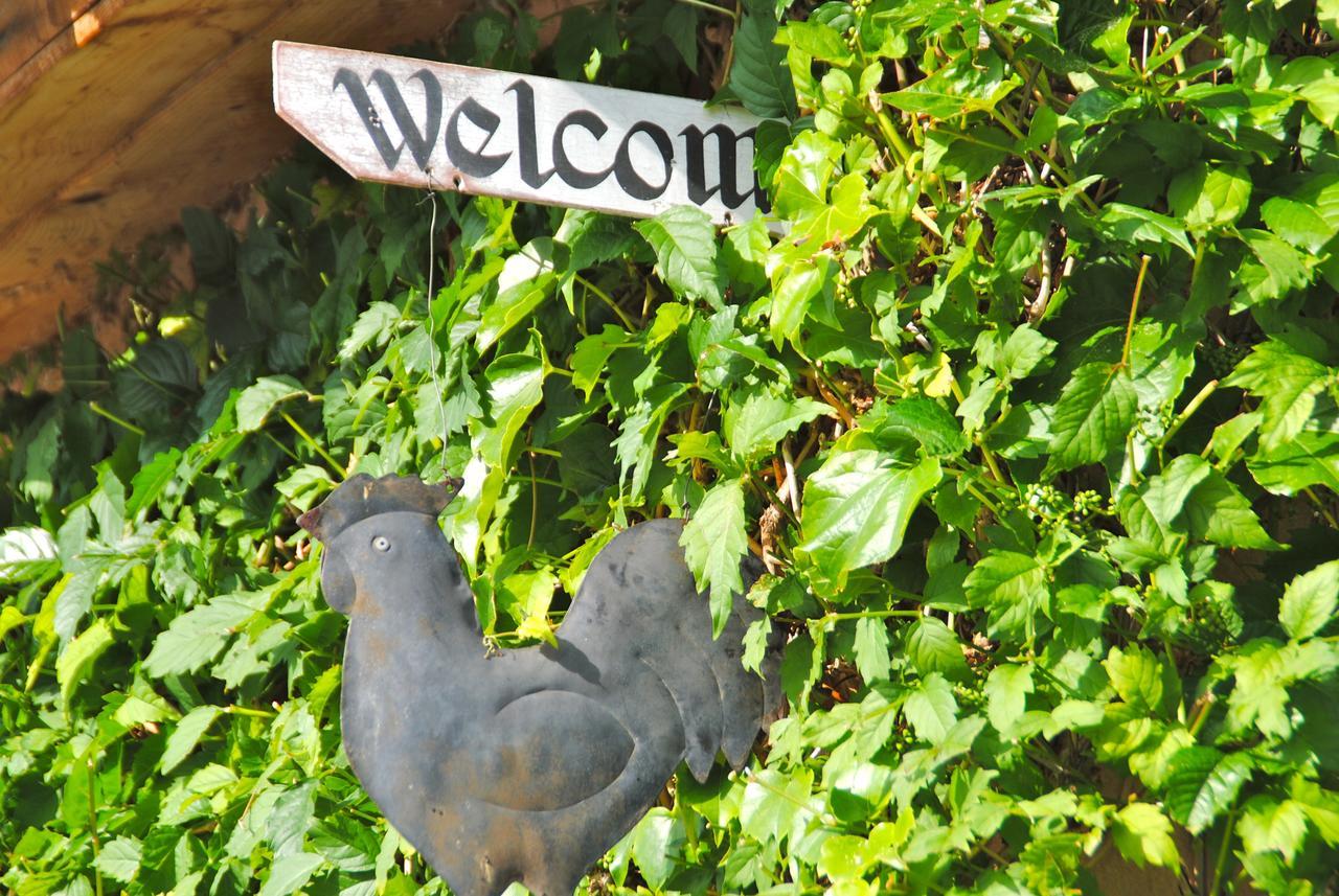 B&B La Badelle Gordes Eksteriør billede